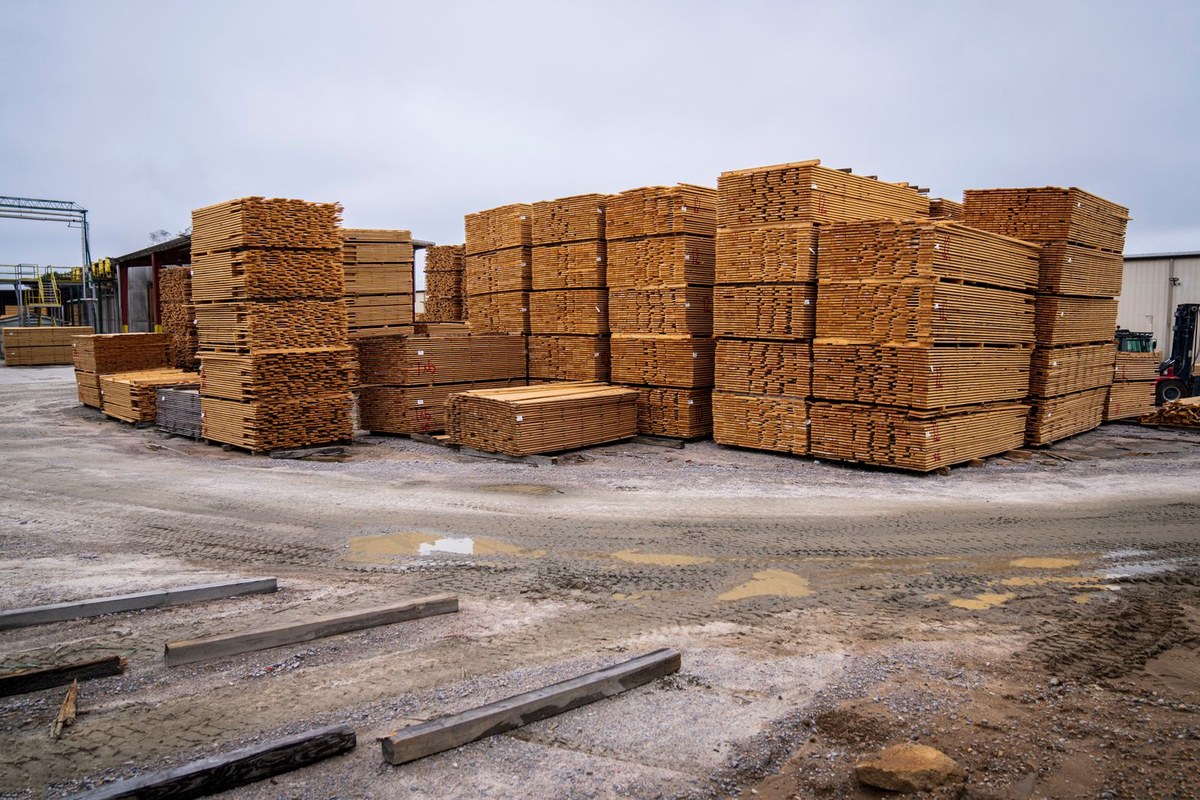 Outdoor lumber yard with tall stacks of light-colored planks on muddy gravel ground